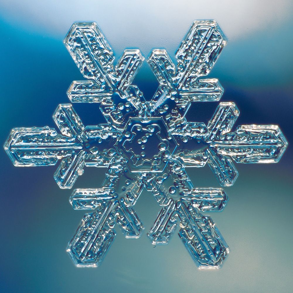 Фотография автора Алексей Поляков