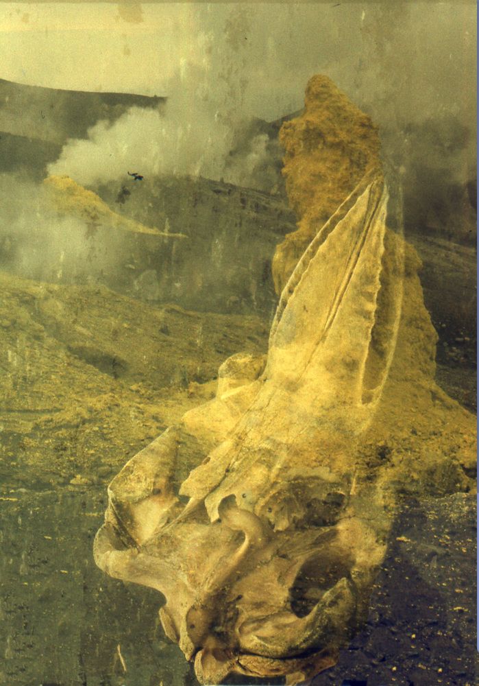 Photograph by Евгений Самулев