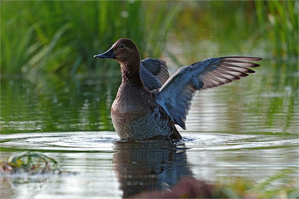 Photograph by Александр Велин