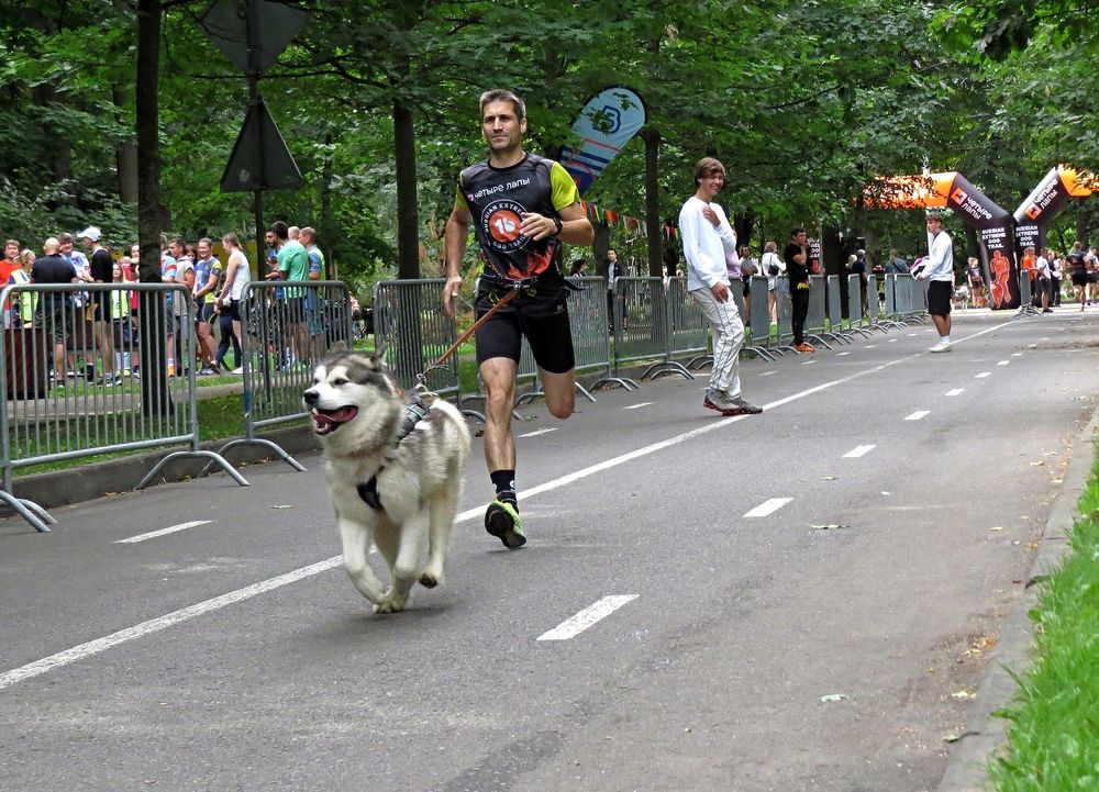 Photograph by Фартушняк Сергей