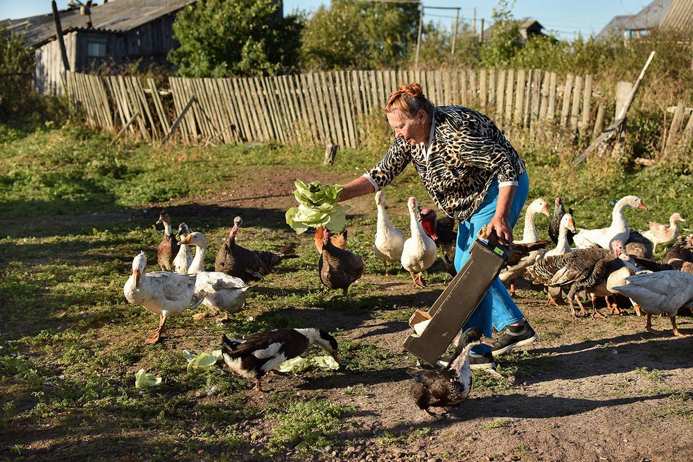 Photograph by Оксана Льдинина