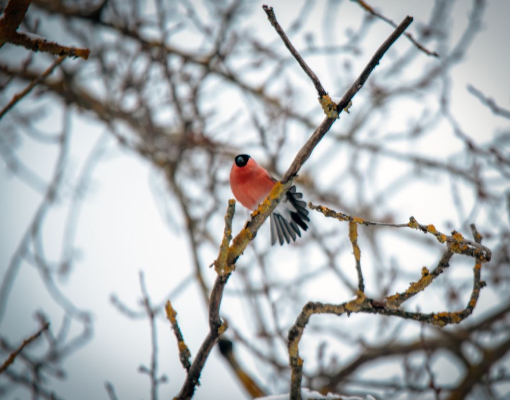 Photograph by Мария