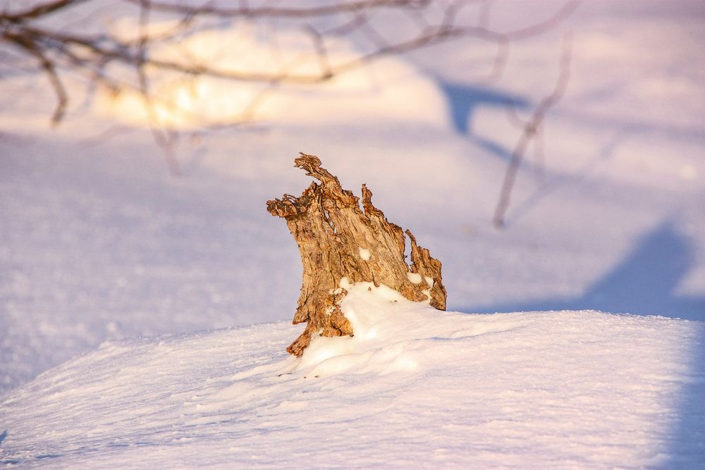 Фотография автора Igors Rostikovs