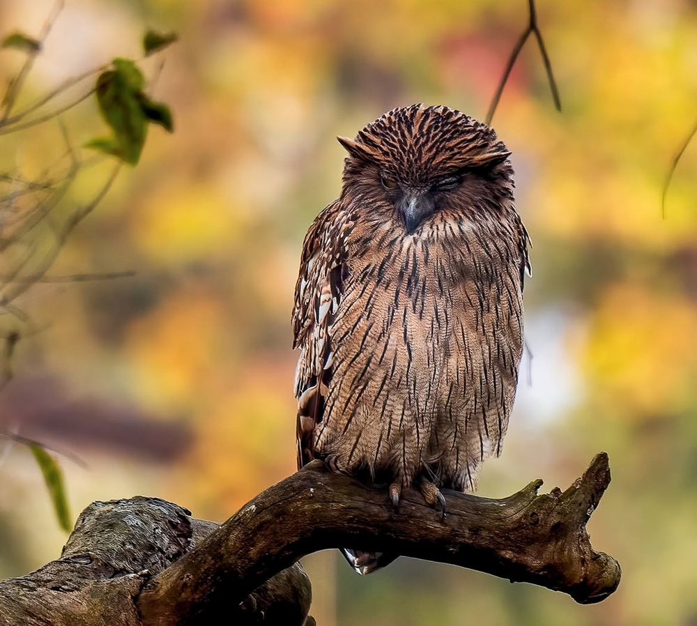 Photograph by MAYANK VERMA