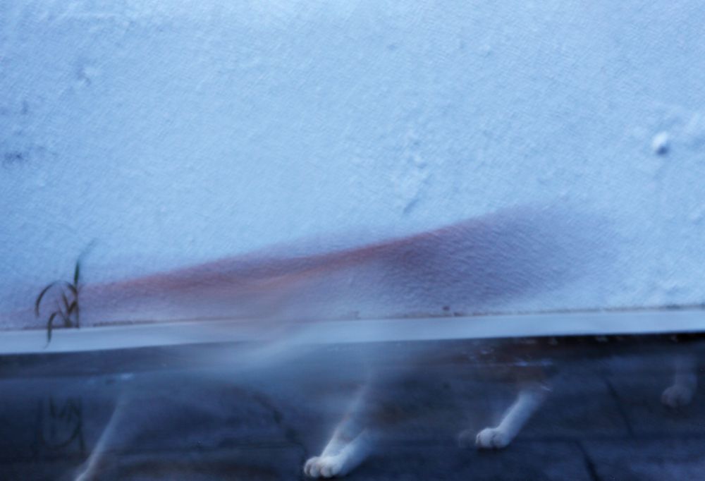 Photograph by Татьяна Михалевская