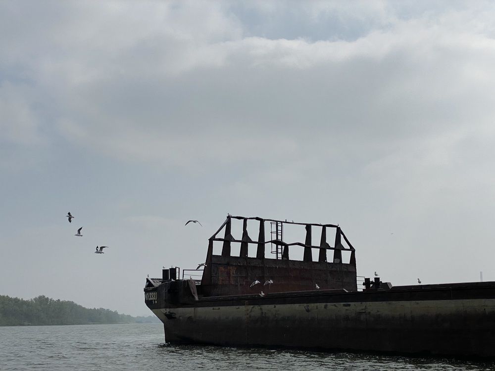 Photograph by Ульяна Красикова