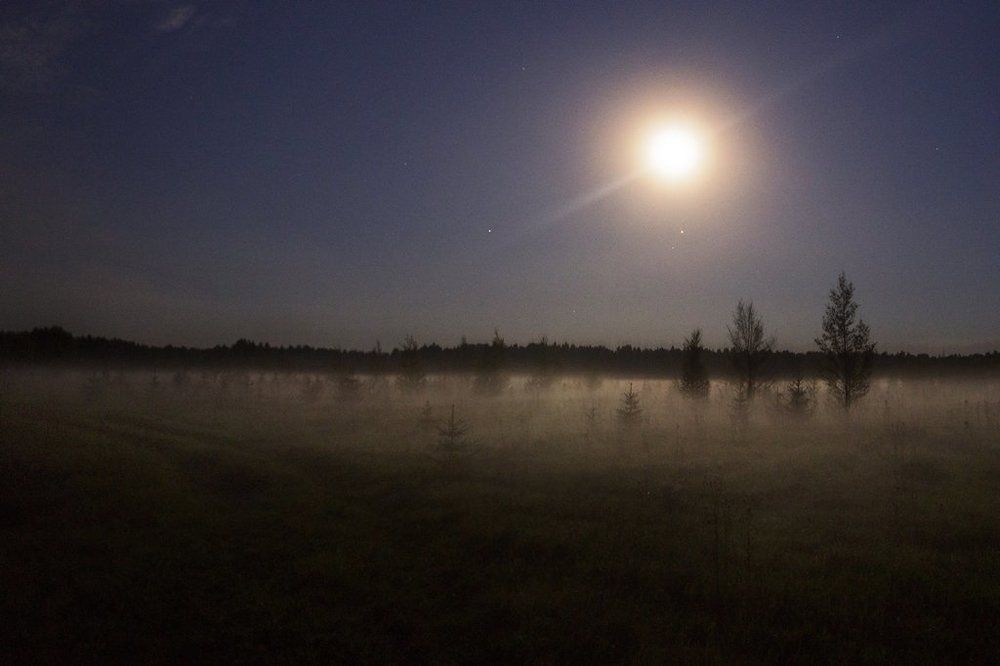 Ночь,дорога и туман