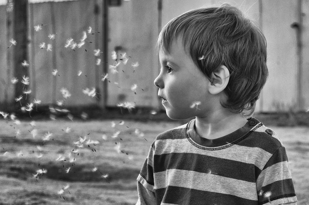 Photograph by Perepelica Tatyana