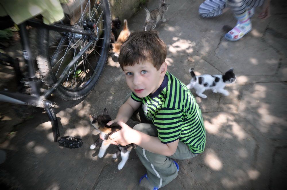 Photograph by NikolaRK