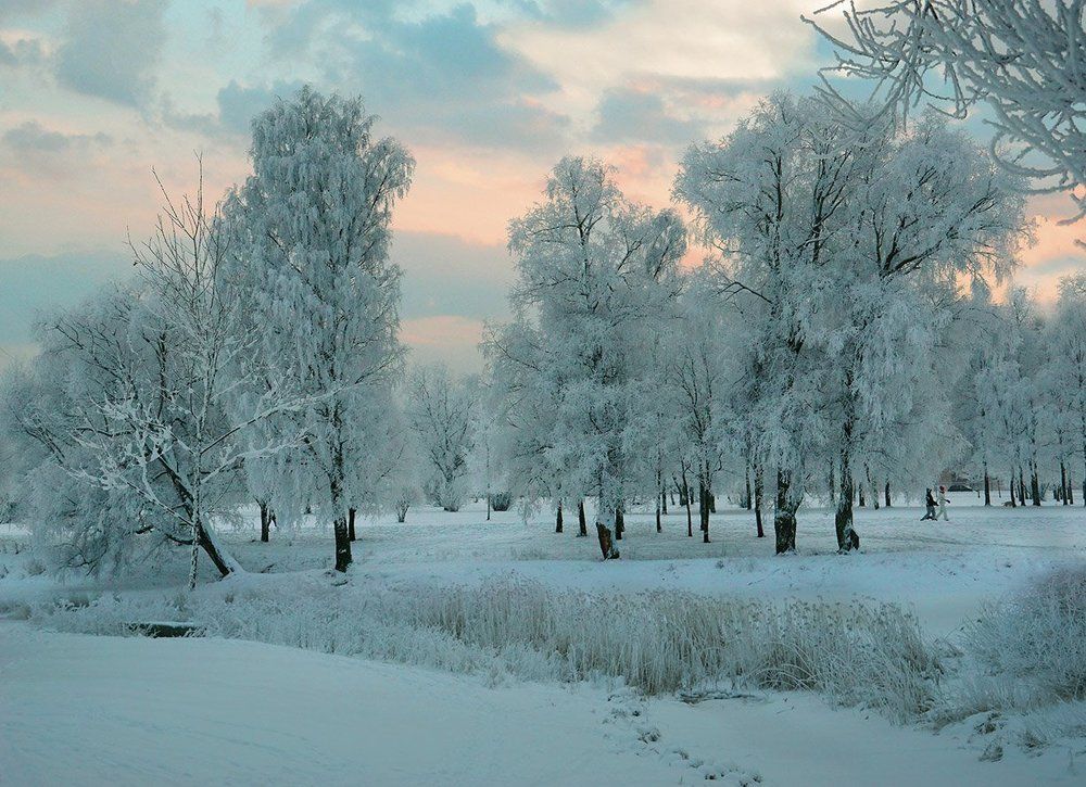 Зимний парк.