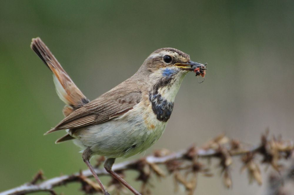 Суровые будни