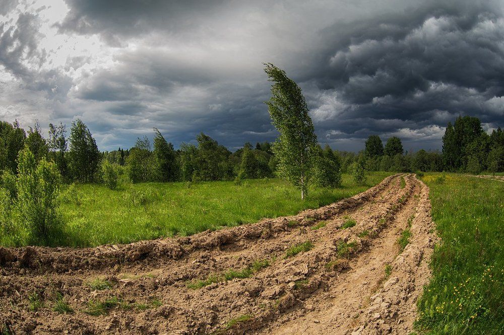 Ветер, это ветер!