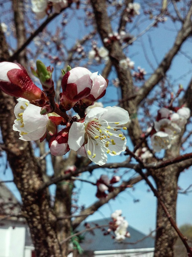 Photograph by Михаил Кобелюк