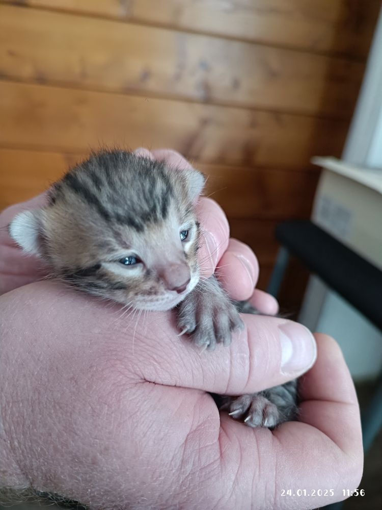 Photograph by Елена Калинина