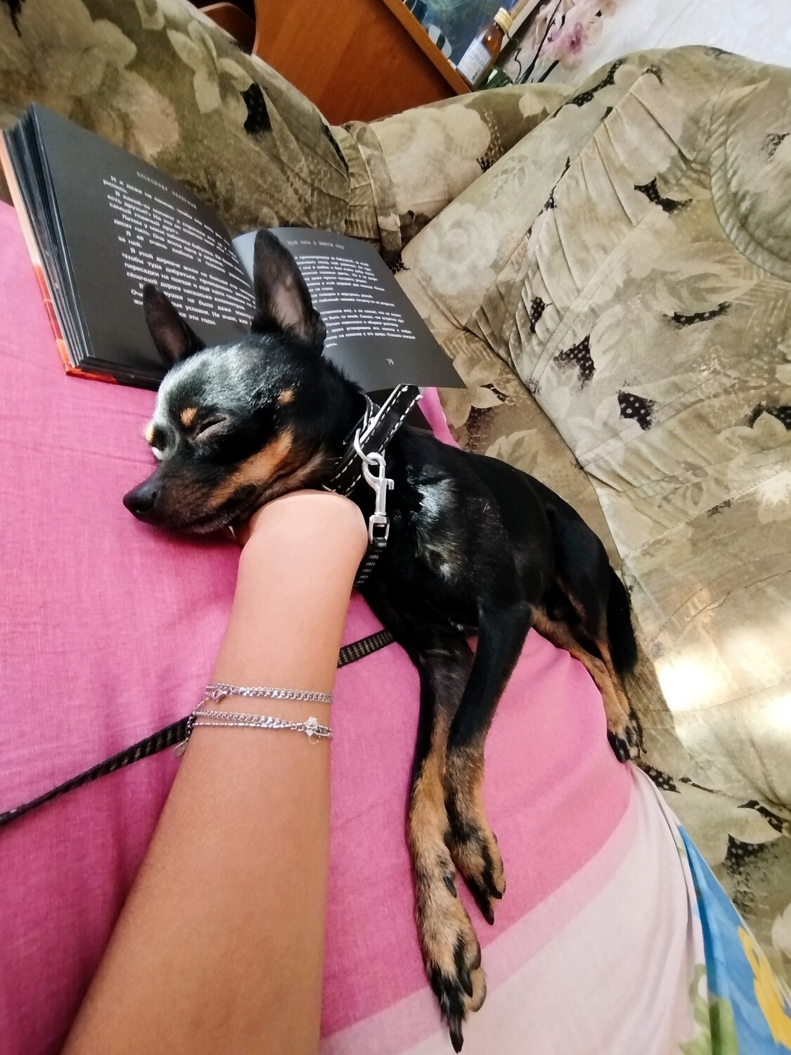 Photo #13150048
