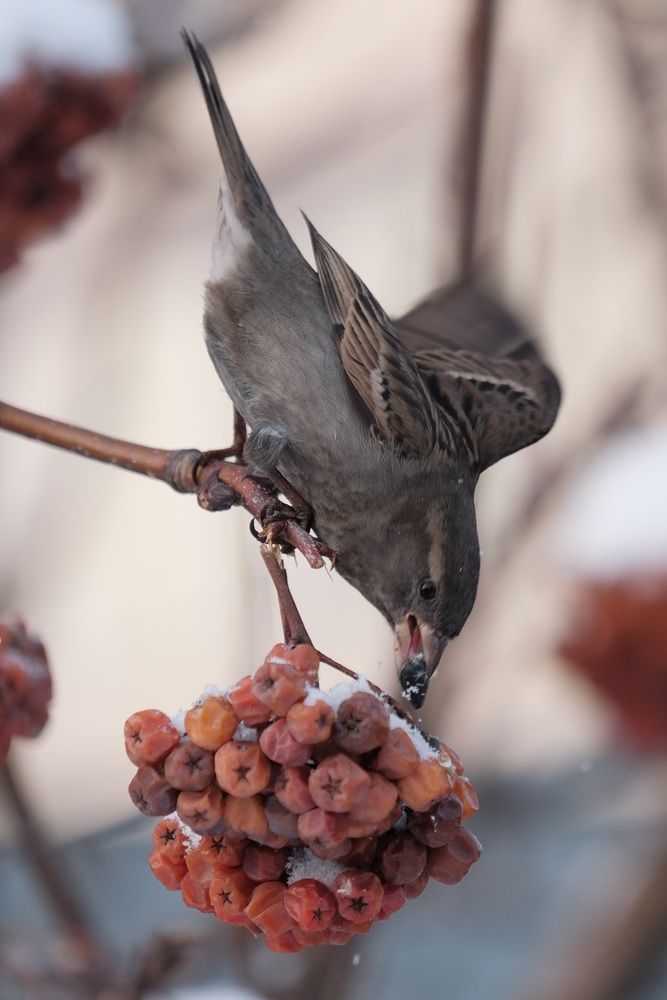 Photograph by Яна Истоцкая