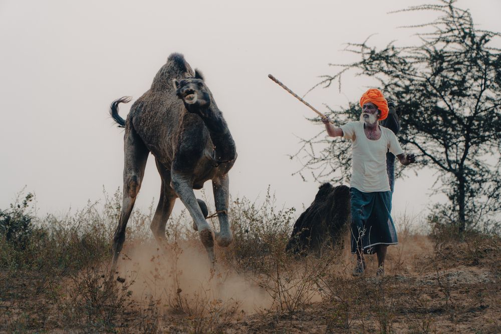 Фотография автора prashant bamnawat