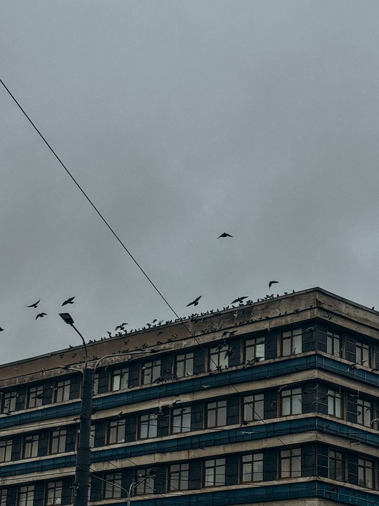 Photograph by Александра Кишикова