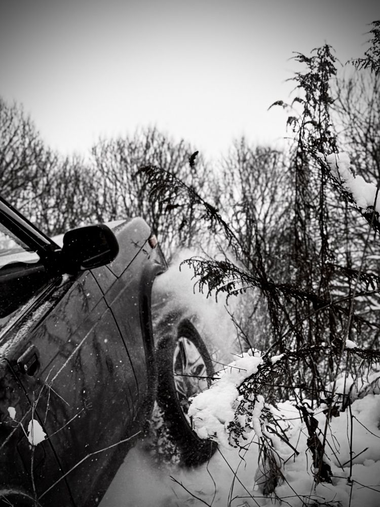 Photograph by Yan Chernushevich
