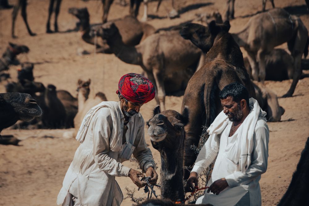 Фотография автора prashant bamnawat