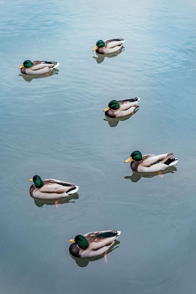 Photograph by Angelina Bukina