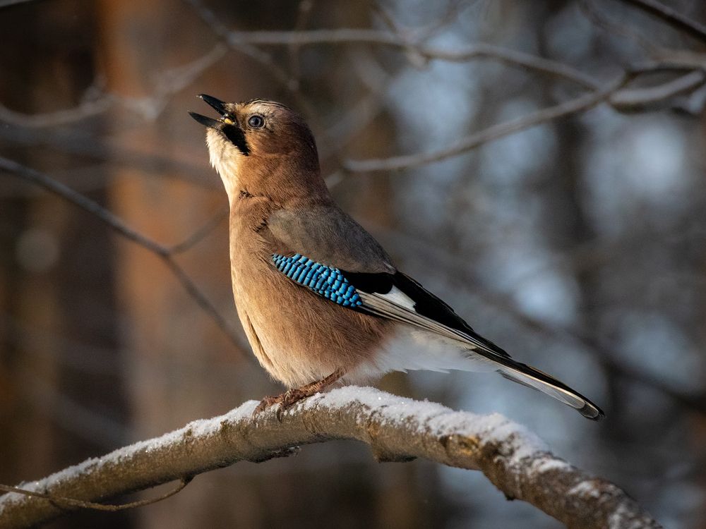 Photograph by Игорь Криулин