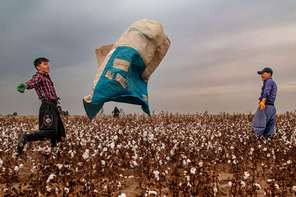 Photograph by Morteza pahang