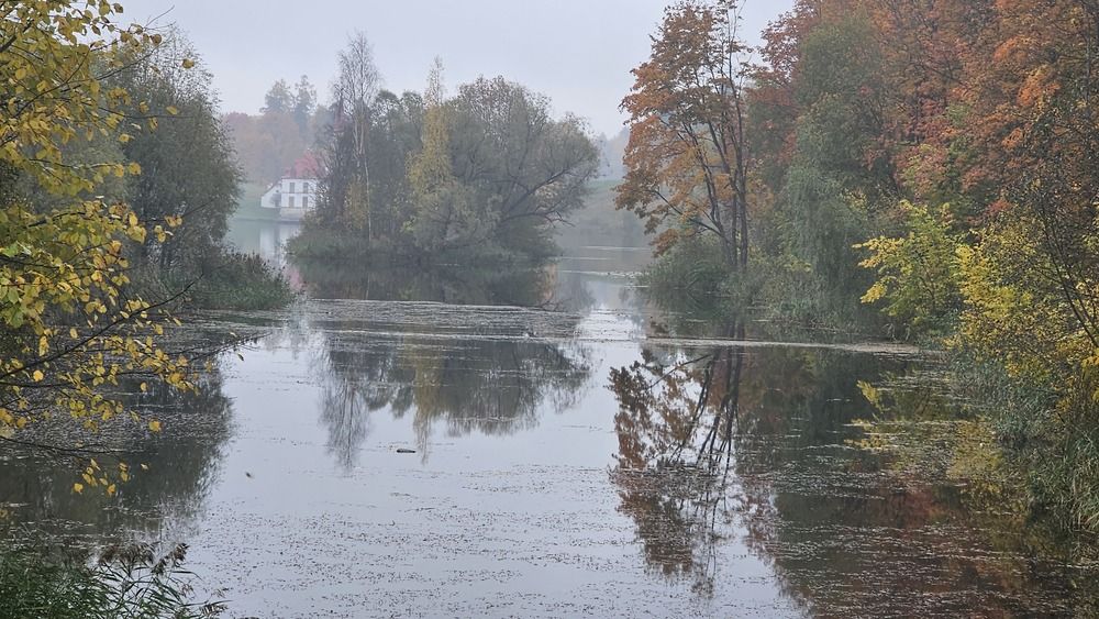 Photograph by Лариса Канаш