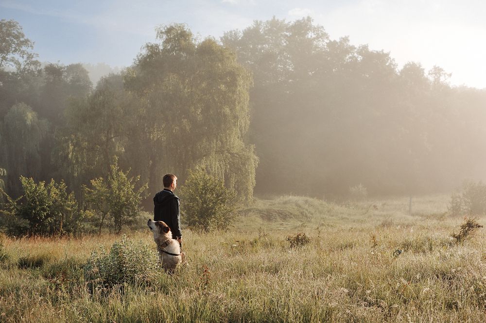На рассвете