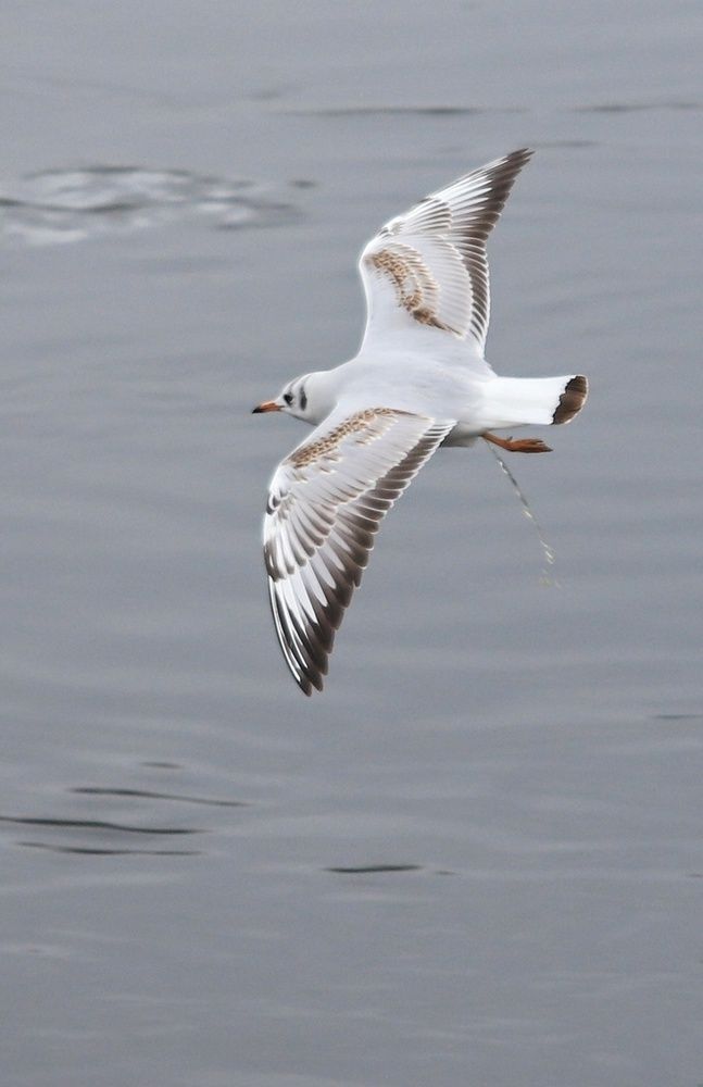 Photograph by Ирада Кузло