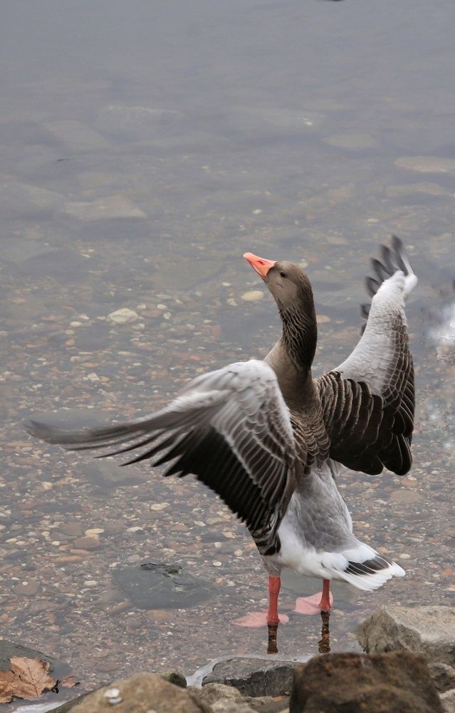 Photograph by Ирада Кузло