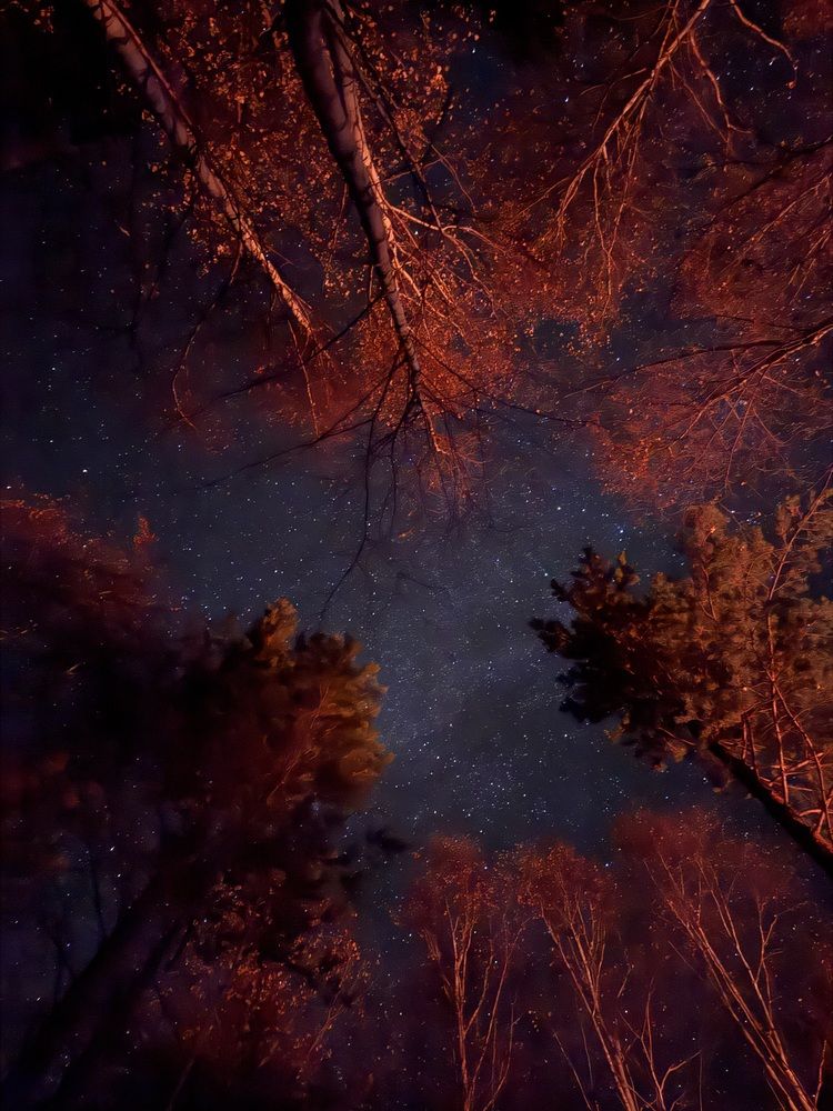 Photograph by Елена Вохмина