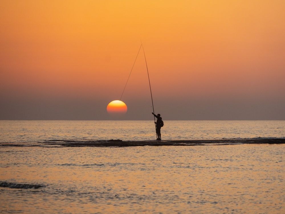 Photograph by Светлана Ханина