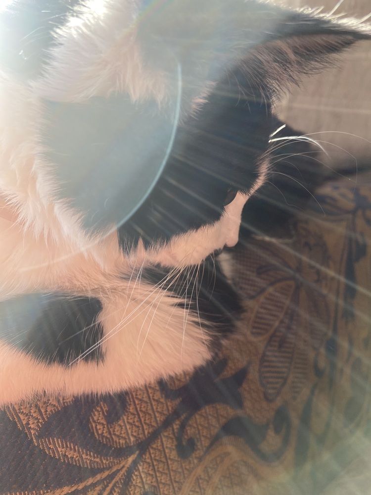 Фотография автора Максим Карпович