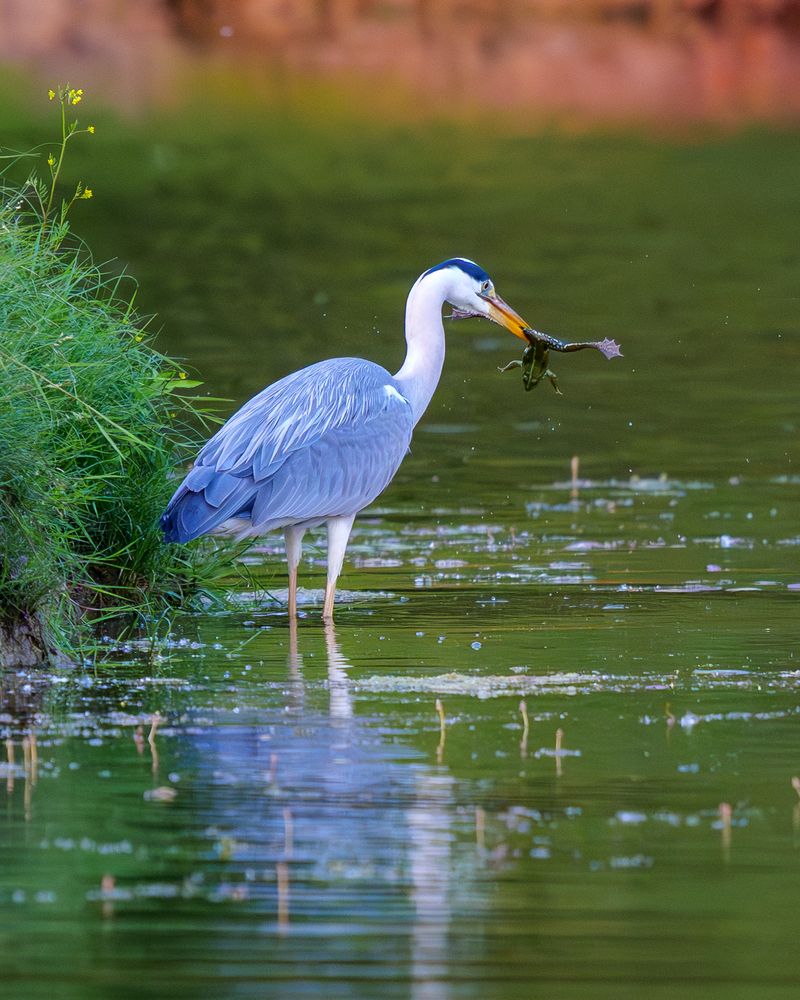 Photograph by Anton Borodin