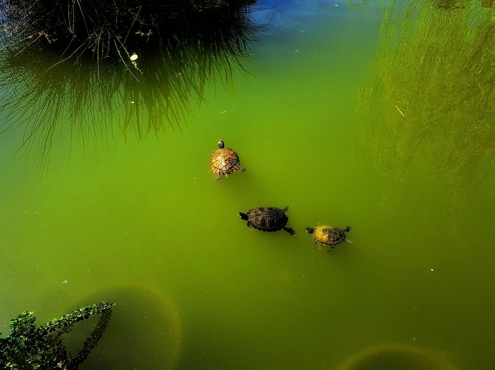 Photograph by arkadii Anufriev