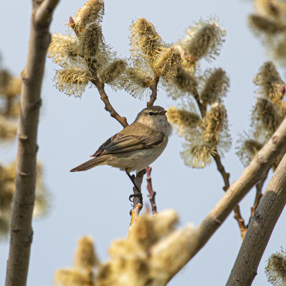 Photograph by Дмитрий Давидов