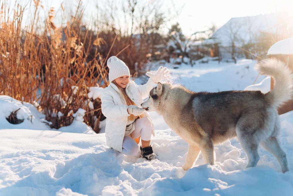 Photograph by Марина Верятинская