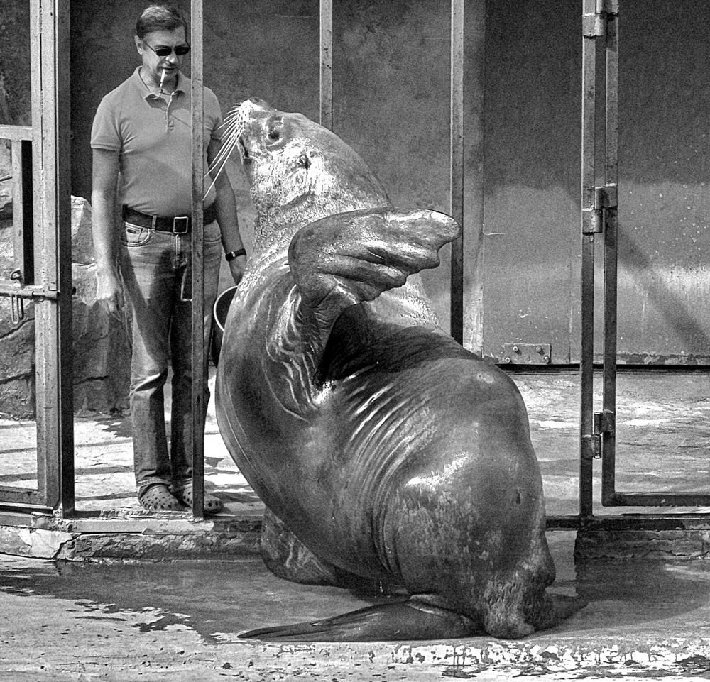 Photograph by Анастасия Смирнова