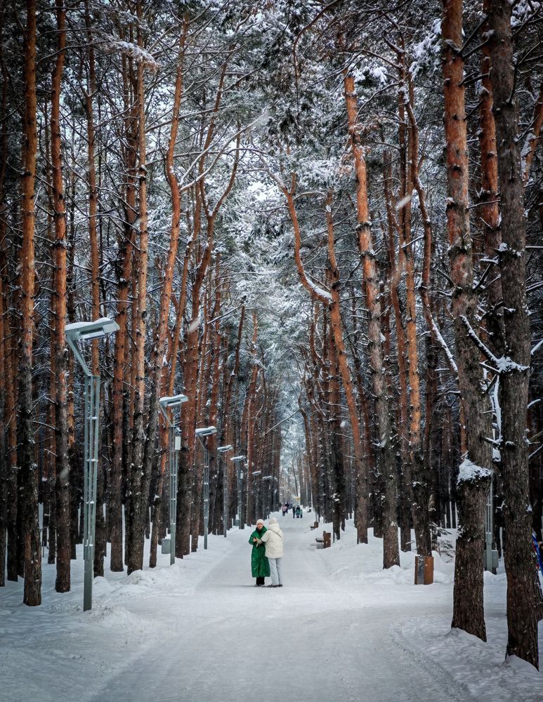 Photograph by Олега Тор