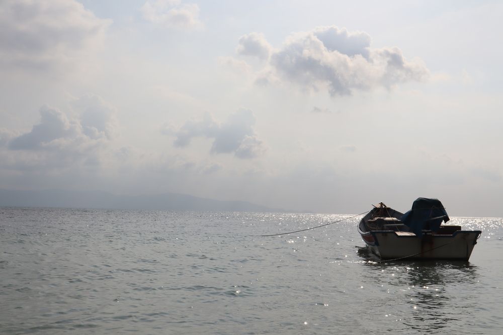 Photo #13150686