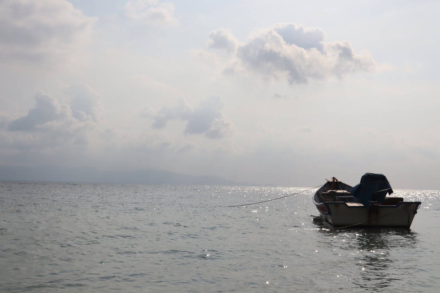 Photo #13150686