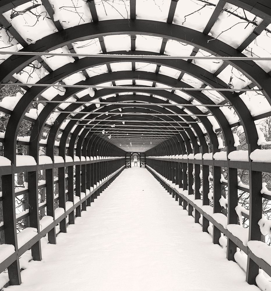 Photograph by Сергей Григорьев