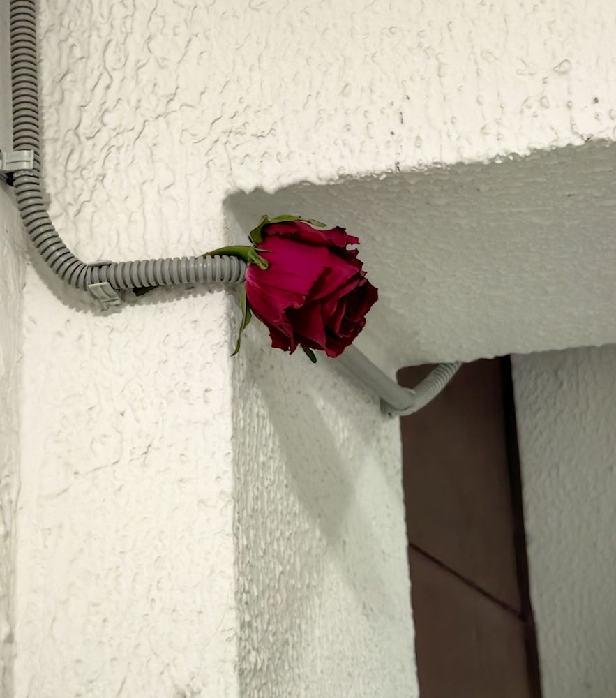 Photograph by Екатерина Исаева