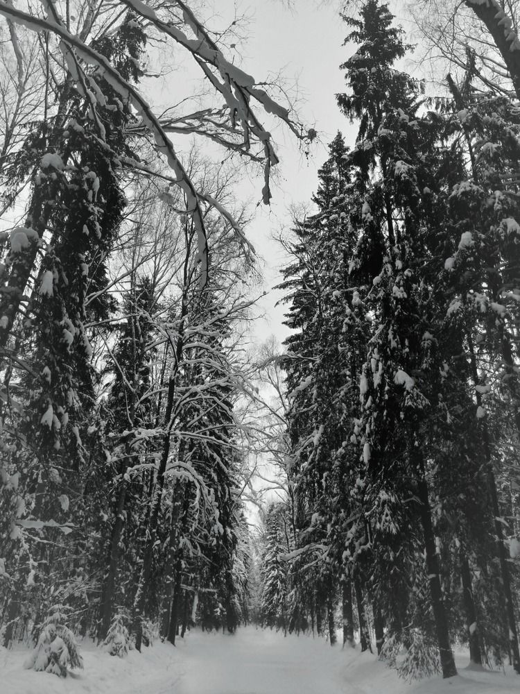 Photograph by Надежда Козлова