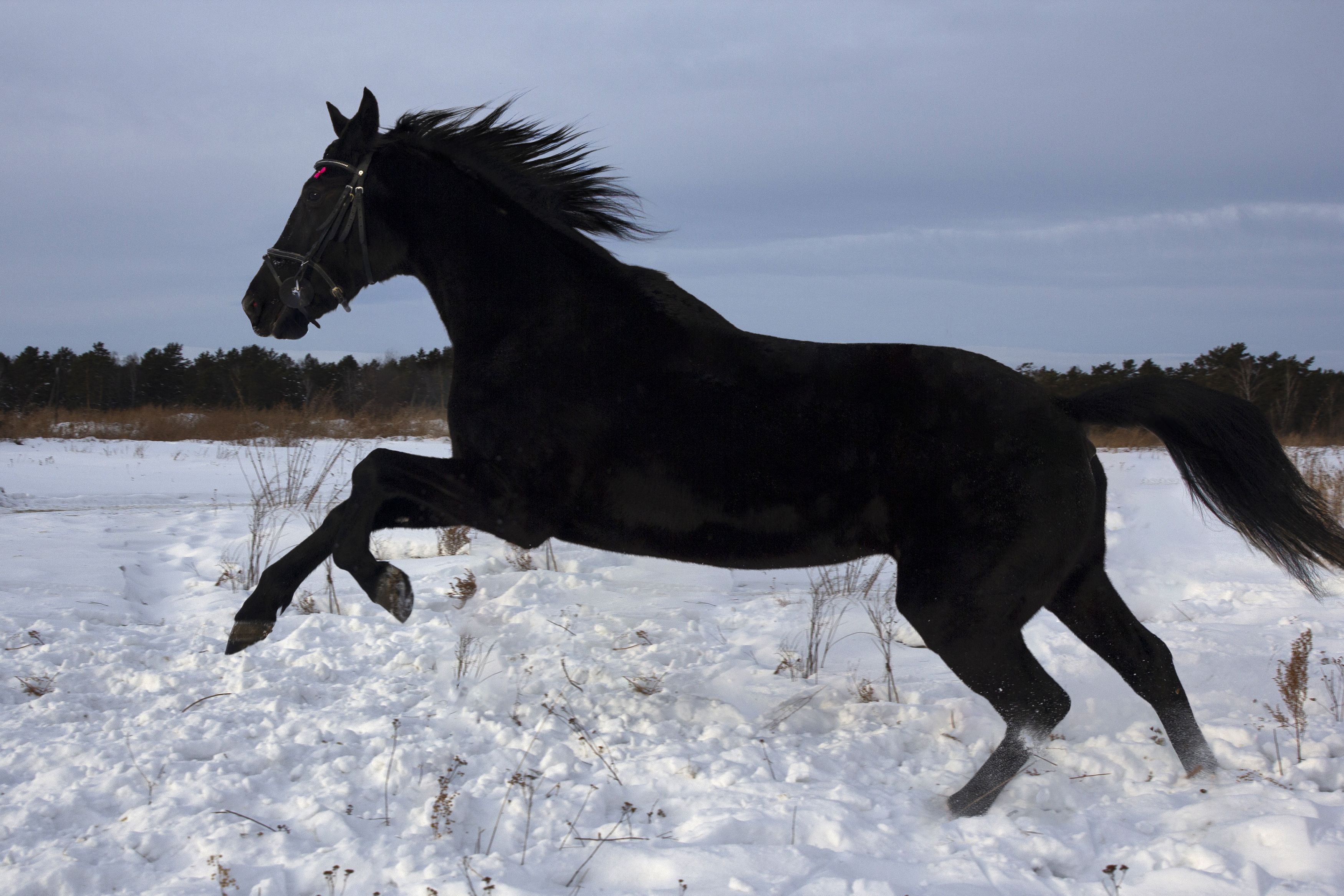 Photograph by Yulia Orina