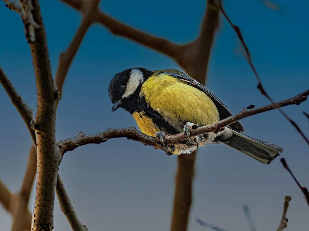 Photograph by Lev Tsenter