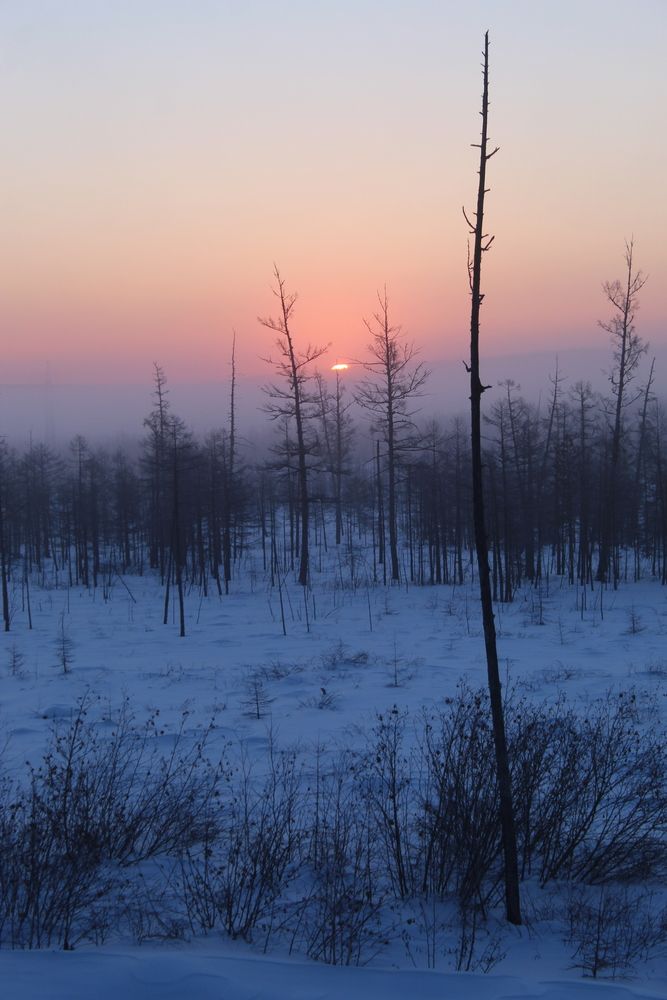 Photograph by Михаил Мархинин