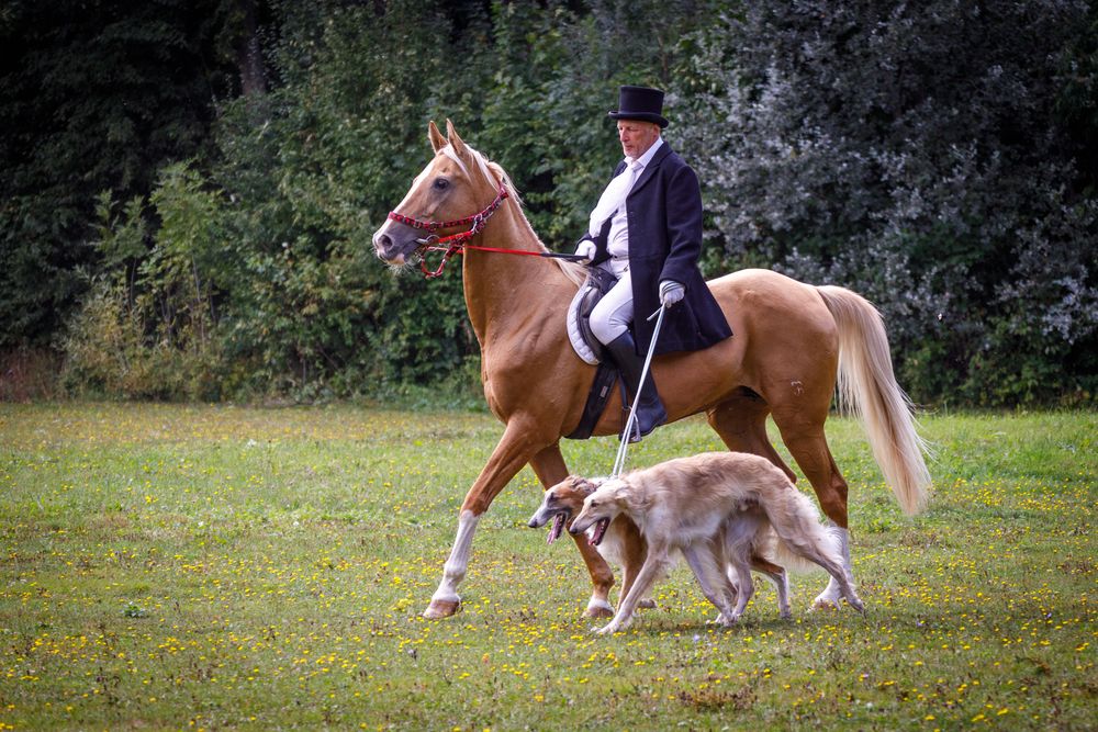 Photograph by Сергей Старых