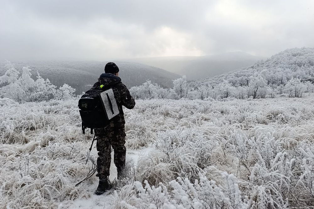 Photograph by Веста Ягужинская